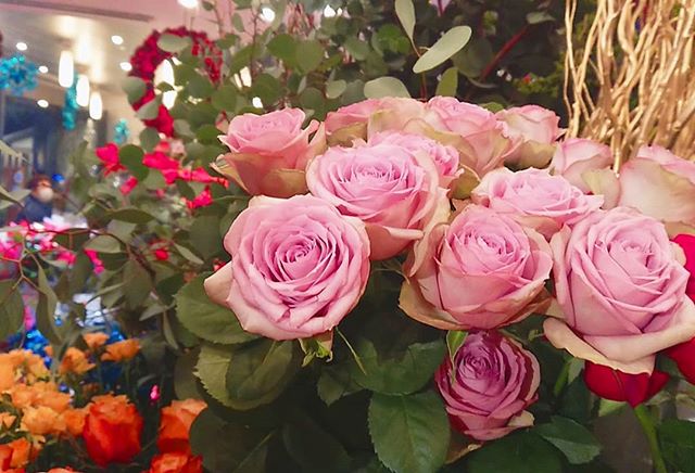 .モンソーフルール自由が丘本店です！ .只今本店にてたくさんのかわいいバラが並んでおります!!.ご自宅用やプレゼントにもオススメです..一本からでもお包み致しますのでぜひお気軽にお声かけ下さい🤗.#monceaufleurs  #monceau #モンソーフルール #自由が丘 #花 #flowers #flower #花屋 #flowershop #花のある暮らし  #花のある生活  #fleurs  #flowerstagram #flowerdesig #バラ #Rose