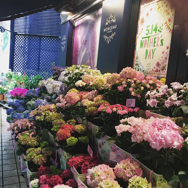 Monceau Fleurs 自由が丘店です。雨ですが、たくさんの御来店お待ちしてます️#MonceauFleurs #Monceau #モンソーフルール #自由が丘 #ヶ丘 #お花 #flower #フラワー  #お花屋さん #花屋 #花のある暮らし#母の日