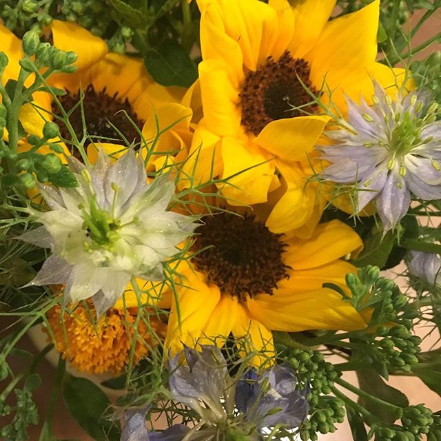 Monceau Fleurs 自由が丘店です。爽やかな夏を感じるアレンジメントです#MonceauFleurs #Monceau #モンソーフルール #自由が丘 #ヶ丘 #お花 #flower #フラワー  #お花屋さん #花屋 #花のある暮らし#ひまわり #向日葵 #ニゲラ