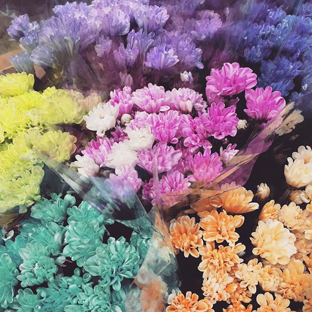 Monceau Fleurs 自由が丘店です。カラフルな染めマム気分が上がりますね#MonceauFleurs #Monceau #モンソーフルール #自由が丘 #ヶ丘 #お花 #flower #フラワー  #お花屋さん #花屋 #花のある暮らし#マム #菊