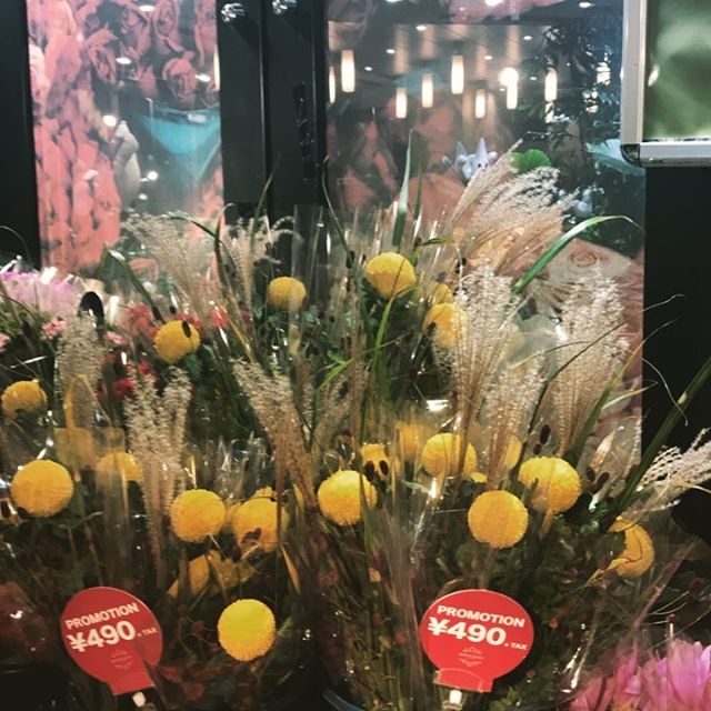 Monceau Fleurs 自由が丘本店です！お月見の季節がやってきました！今年のお月見は１０月の４日です！お月見の花束を添えて月を見てみるのはいかがでしょうか！店舗にてお待ちしております〜‍♀️.......#MonceauFleurs #Monceau #モンソーフルール #自由が丘 #ヶ丘 #お花 #flower #フラワー  #お花屋さん #花屋 #花のある暮らし#ドライフラワー#dried flower#dry flower#ワークショップ##ハスキージェラート自由が丘 #fleurs#flower shop#お月見