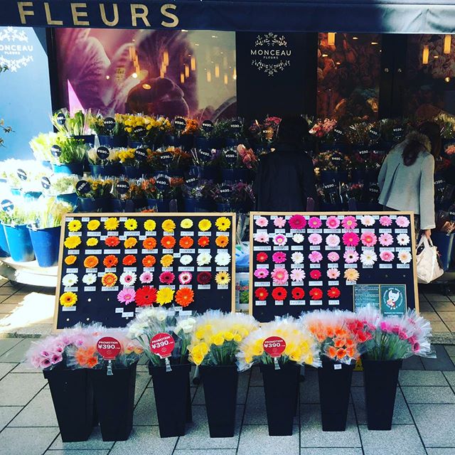 Monceau Fleurs 自由が丘本店です！本日よりJA紀州さんが自由が丘本店にてフェアを行なっております！ガーベラをお買い上げ頂いたお客様にハッサクのプレゼントもありますので是非御来店下さい！きちゅうくんもきてますよー.......#MonceauFleurs #Monceau #モンソーフルール #自由が丘 #ヶ丘 #お花 #flower #フラワー  #お花屋さん #花屋 #花のある暮らし#ドライフラワー#dried flower#dry flower#ワークショップ##ハスキージェラート自由が丘 #fleurs#flower shop#ja #JA紀州#ガーベラ #きちゅうくん #フェアー #和歌山県農協連