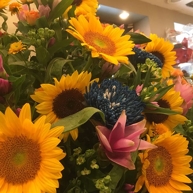 モンソーフルール自由が丘本店です！また暑さが復活してきましたね☹️ ヒマワリを使った夏らしいスタンド花を作りました夏っぽさ全開です😎#MonceauFleurs #Monceau #モンソーフルール #自由が丘 #お花 #flower #お花屋さん #花屋 #花のある暮らし #ハスキージェラート #fleurs #ひまわり #ヒマワリ #sunflower #flowers #flowerstagram