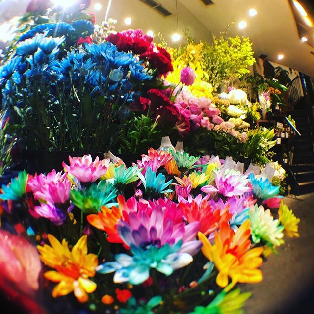モンソーフルール自由が丘店です！レインボーやらブルーやら、色とりどりのお花を用意してお待ちしております！#MonceauFleurs #Monceau #モンソーフルール #自由が丘 #お花 #flower #お花屋さん #花屋 #花のある暮らし #ハスキージェラート #fleurs  #sunflower #flowers #flowerstagram