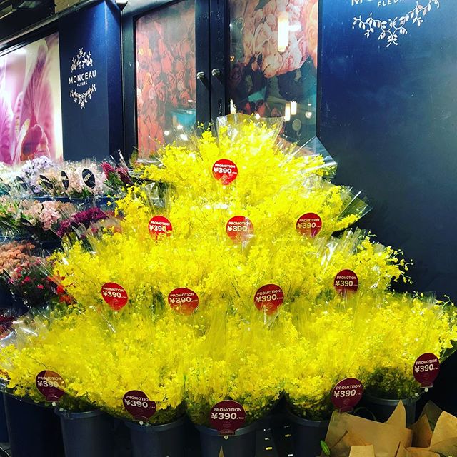 モンソーフルール自由が丘本店です！今週のプロモーションはオンシジュームです眩しいぐらいの輝きを放っておりますので、ぜひご来店ください#MonceauFleurs #Monceau #モンソーフルール #自由が丘 #お花 #flower #お花屋さん #花屋 #花のある暮らし #ハスキージェラート #fleurs #flowers #flowerstagram #オンシジューム #黄色 #yellow