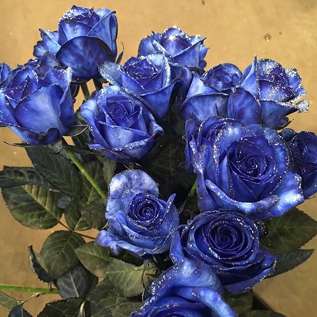 モンソーフルール自由が丘本店です！ ..きらっきらの青バラを入荷しました神秘的ですね、、..#MonceauFleurs #Monceau #モンソーフルール #自由が丘 #お花 #flower #お花屋さん #花屋 #花のある暮らし #ハスキージェラート #fleurs #flowers #flowerstagram #バラ #青 #青バラ #ローズ #rose #blue