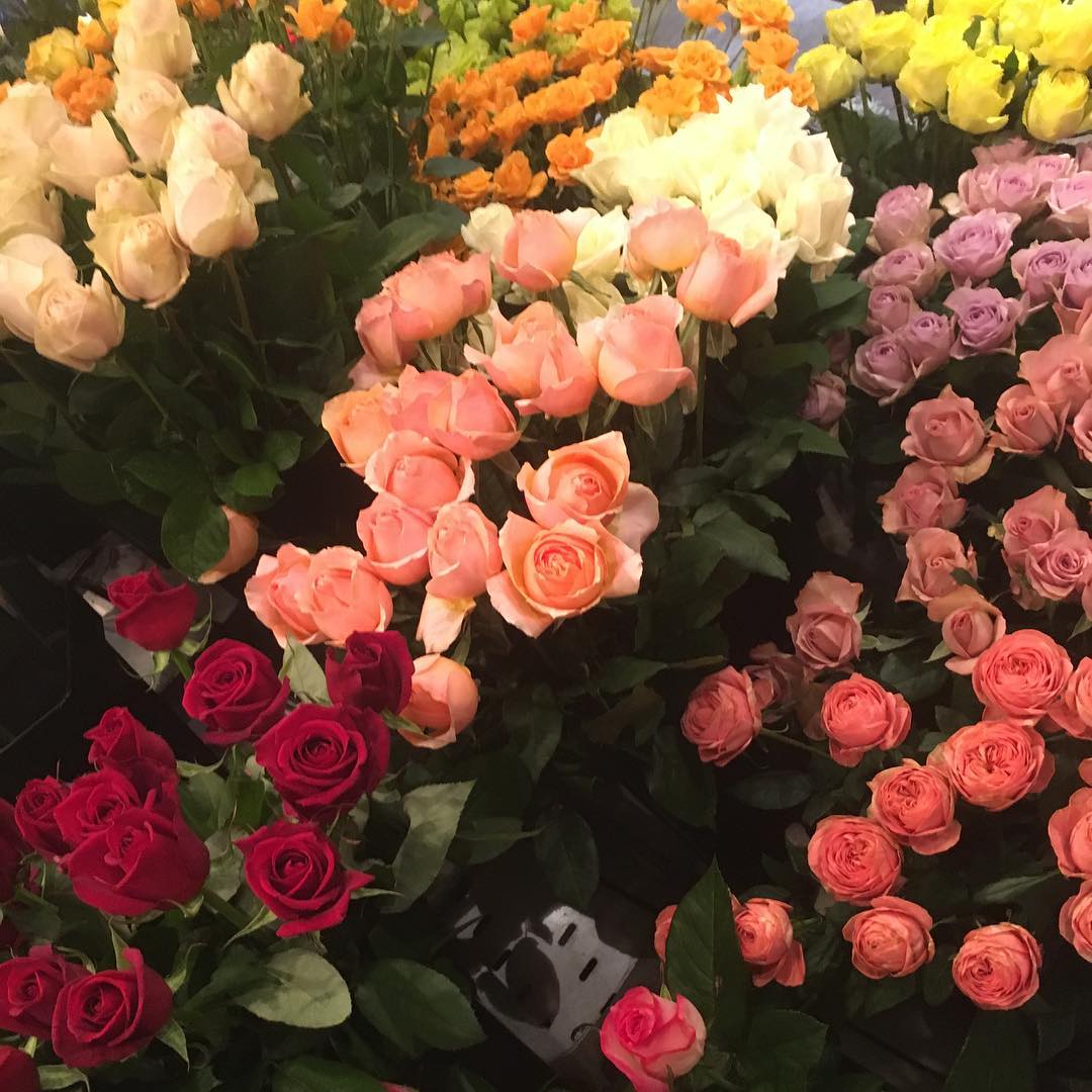 モンソーフルール自由が丘本店です！ . 新年明けましておめでとうございます！.年明け早々、店内には鮮やかなバラが並んでおります..今年もたくさんのお花をご用意してお客様のご希望に応えられるお店として頑張ってゆきますので、どうぞ宜しくお願い致します️ .#monceaufleurs  #monceau #モンソーフルール #自由が丘 #花 #flowers #お花屋さん #flowershop #花屋 #花のある暮らし  #花のある生活  #ハスキージェラート #fleurs  #flowerstagram #お正月