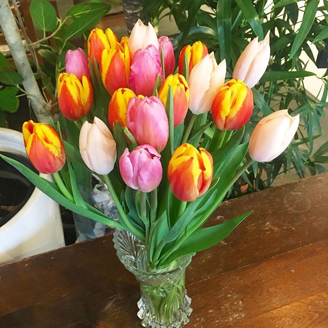 モンソーフルール自由が丘本店です！ . 今週いっぱいはチューリップがプロモーションです.春らしさ満点ですね〜.#monceaufleurs  #monceau #モンソーフルール #自由が丘 #花 #flowers #お花屋さん #flowershop #花屋 #花のある暮らし  #花のある生活  #ハスキージェラート #fleurs  #flowerstagram #チューリップ