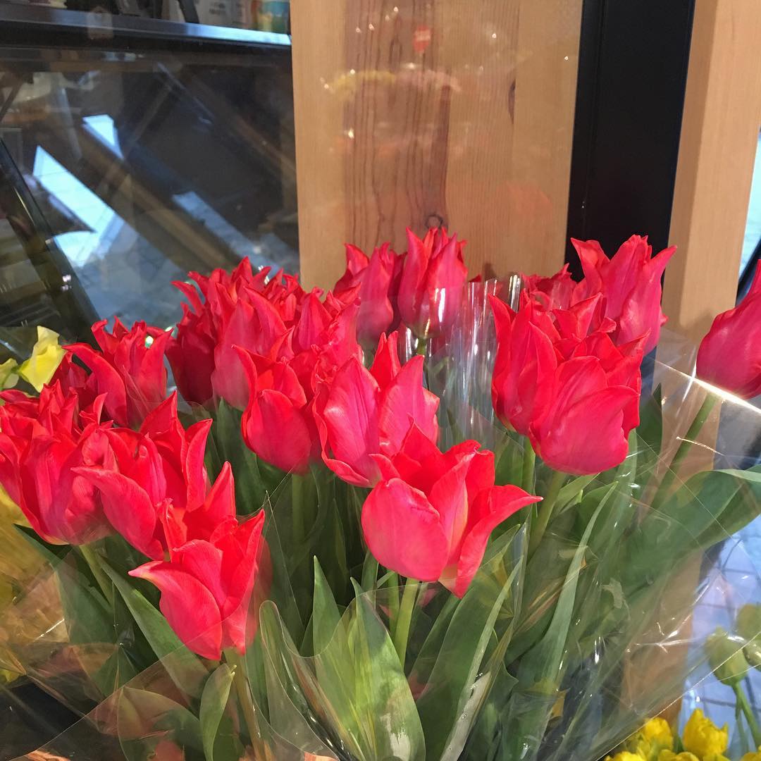 モンソーフルール自由が丘本店です！ .春のお花コーナーです.わたしのイチオシはポピーです！次々と咲いていく様子がとっても可愛らしいです.#monceaufleurs  #monceau #モンソーフルール #自由が丘 #花 #flowers #お花屋さん #flowershop #花屋 #花のある暮らし  #花のある生活  #ハスキージェラート #fleurs  #flowerstagram #チューリップ #スカビオサ #ポピー #春 #spring