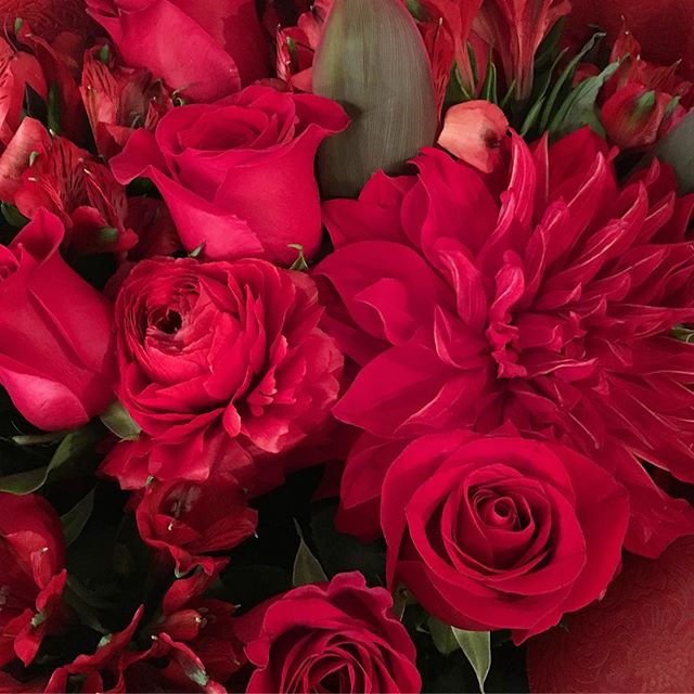 モンソーフルール自由が丘本店です！おはようございます🌞. 歓送迎会用や卒業・入学祝いのご注文が増えてきました人生の節目はお花を添えて華やかに！ステキな思い出になるはずです..複数束をご希望のお客様は事前に予約されることをお勧めします.#monceaufleurs  #monceau #モンソーフルール #自由が丘 #花 #flowers #flower #花屋 #flowershop #花のある暮らし  #花のある生活  #ハスキージェラート #fleurs  #flowerstagram #flowerdesign #arrangement #ブーケ #花束 #bouquet