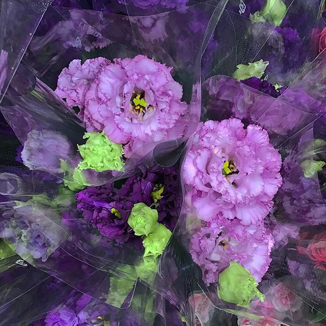 紫のトルコキキョウ
とても綺麗です…
ご自宅用、ギフトにも人気なお花です