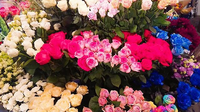 .モンソーフルール自由が丘本店です！.本日11月22日はいい夫婦の日でございます🥀.色んな品種のバラやかすみ草をご用意いたしましたのでプレゼントにぜひいかがでしょうか🤗？ ..アレンジメントやお花束の作成ももちろん、一本からでもラッピング致しますのでぜひお気軽にお立ち寄り下さい🥀..#monceaufleurs  #monceau #モンソーフルール #自由が丘 #花 #flowers #flower #花屋 #flowershop #花のある暮らし  #花のある生活  #fleurs  #flowerstagram #flowerdesign  #アレンジメント #いい夫婦の日 #バラ #Rose #かすみ草