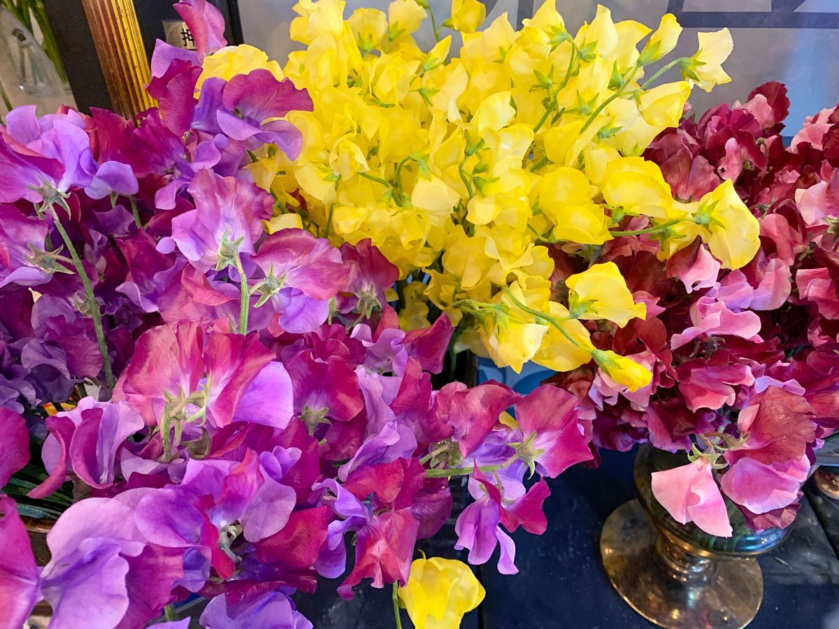 .綺麗な色のスイートピー入ってますお選び頂いたお花は、どの組み合わせでも+200yenでお花束にラッピング致します.是非ご自分で選ばれた花束をプレゼントしませんか？🥰🥰..ご来店お待ちしてます。.#モンソーフルール自由が丘本店