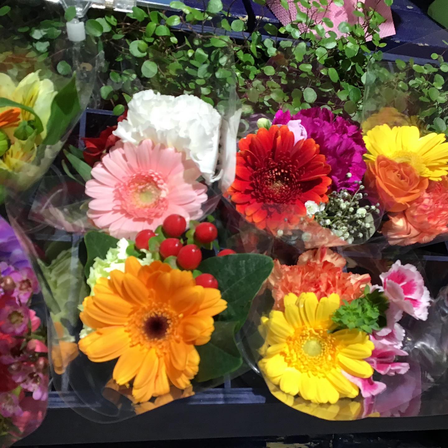 モンソーフルールアトレ川崎店です。

今日はあいにくのお天気でしたね。
こんな日は、お部屋にお花を飾られてはいかがでしょうか？

カラフルなミニブーケ 人気です！

ちょっと飾るだけで、お部屋が明るくなりますよ。

ご来店お待ちしております。

お気軽にお問い合わせください
.
モンソーフルールアトレ川崎店
★★★★★★★★★★★
〒210-0007
神奈川県川崎市川崎区駅前本町26-1
アトレ川崎1F
TEL &FAX044-200-6701
営業時間:10:00〜21:00
★★★★★★★★★★★
.