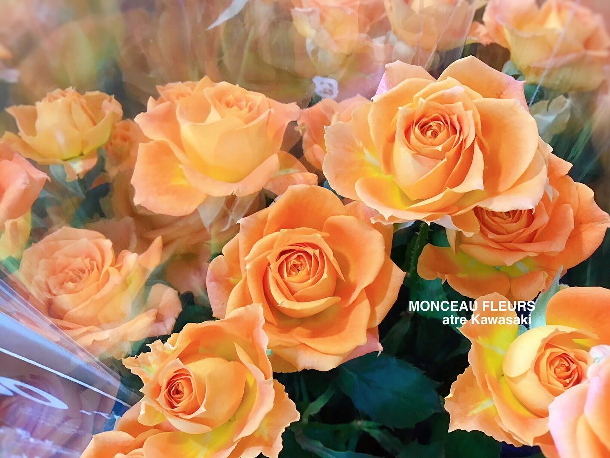 オレンジ色のバラの 花言葉は 沢山あって 中には 絆 や 幸多かれ というものも含まれるそう ちょうど月末なので 送別に差し上げたいお花ですね 2枚目のお写真は お風呂に使える石鹸で出来た バスフラワー 生花に次いで こちらも人気です
