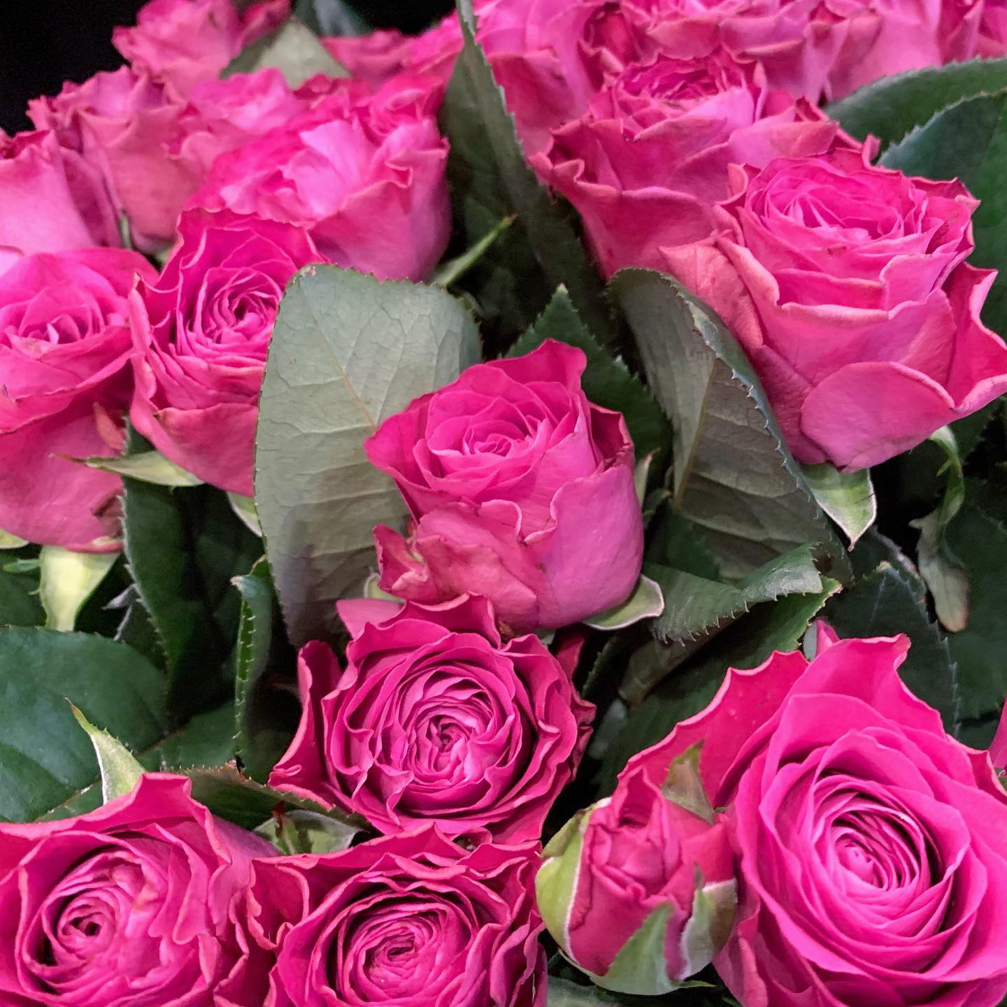 .アンティークのようなくすみ色の薔薇をはじめ、可愛いお花たくさん入荷しましたっ❣️変わった形のひまわりも入ってます本日もお待ちしてます！@monceaufleurs_jiyugaoka #モンソーフルール自由が丘店