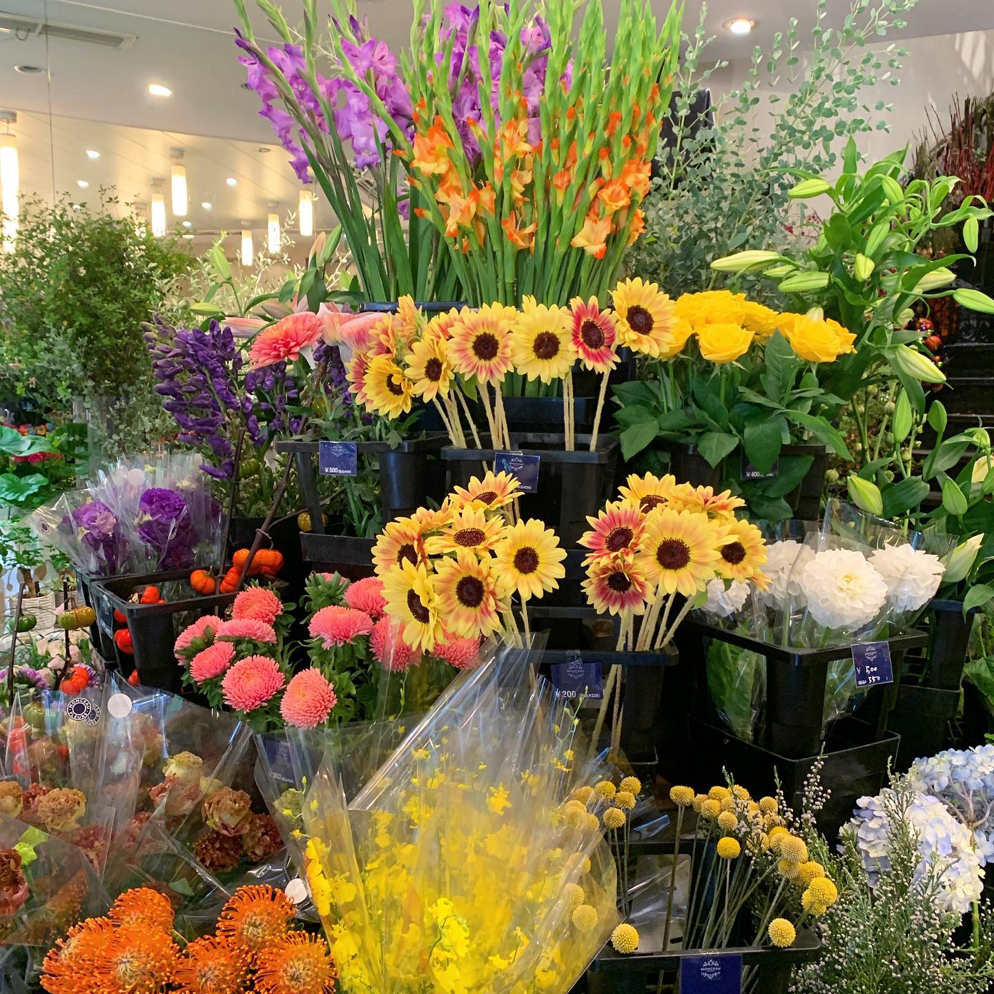 .モンソーフルール自由が丘本店です季節の新鮮なお花がたくさん入荷いたしました充実しております皆様のご来店をお待ちしております..