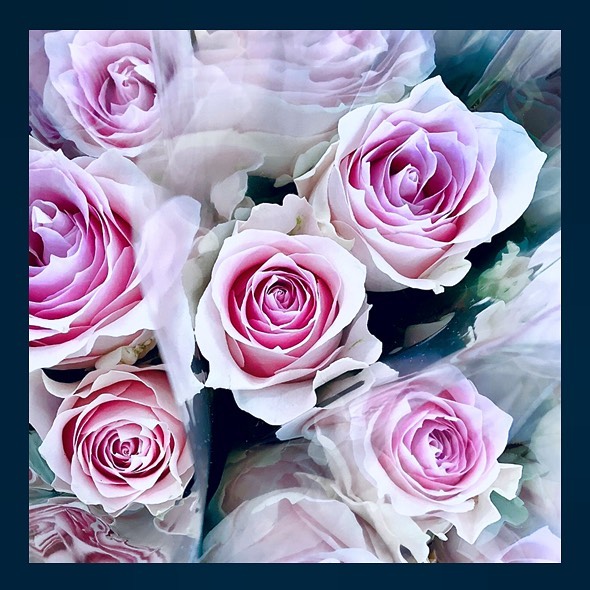 色々な品種が入荷してくる"バラ"のお花^ ^

少し前になりますが、女性に人気の品種
"リメンブランス"が入荷してきました

お花の美しさに、スタッフも写真をパチリ
淡い色と薄い花びらが美しい！

ピンク色のバラは、
色によって花言葉も違うそう

淡いピンクのバラの花言葉は、
『誇り』だそうですよ！

これから迎える、成人の日の贈り物にもピッタリですね^ ^


お気軽にお問い合わせください。
★★★★★★★★★★★★★★★
【モンソーフルール アトレ川崎店】
〒210-0007
神奈川県川崎市川崎区駅前本町26-1
アトレ川崎1F
TEL&FAX:044-200-6701
営業時間:10:00〜21:00
★★★★★★★★★★★★★★★
モンソーフルールはパリ発！
ヨーロッパ有数のフラワーチェーンブランドです。