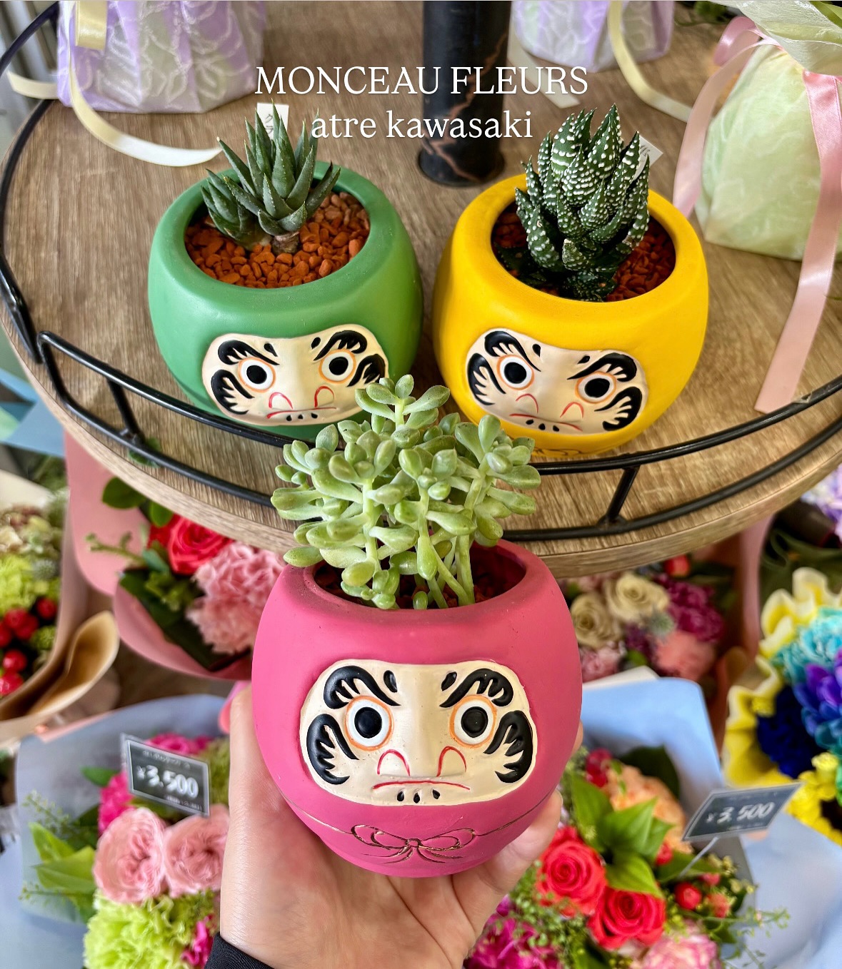 .I 川崎 🤍アトレ川崎で本日よりスタートした企画️当店からはだるまの器に入った多肉植物を販売しております🪴ぜひプレゼントやインテリアにいかがでしょうか？🙂‍️ #だるま#多肉植物#川崎限定  #プレゼント  #flowergift #花束  #お祝い #ブーケ  #bouquet#フラワーアレンジメント#卒園式 #卒業式 #送別会#誕生日 #記念日#全国配送 #地方発送#お花のある暮らし #モンソーフルール#モンソーフルールアトレ川崎#パリ生まれのお花屋さん#monceaufleurs#川崎花屋お気軽にお問い合わせください。【モンソーフルール アトレ川崎店】〒210-0007神奈川県川崎市川崎区駅前本町26-1アトレ川崎1FTEL&FAX:044-200-6701営業時間:10:00〜21:00