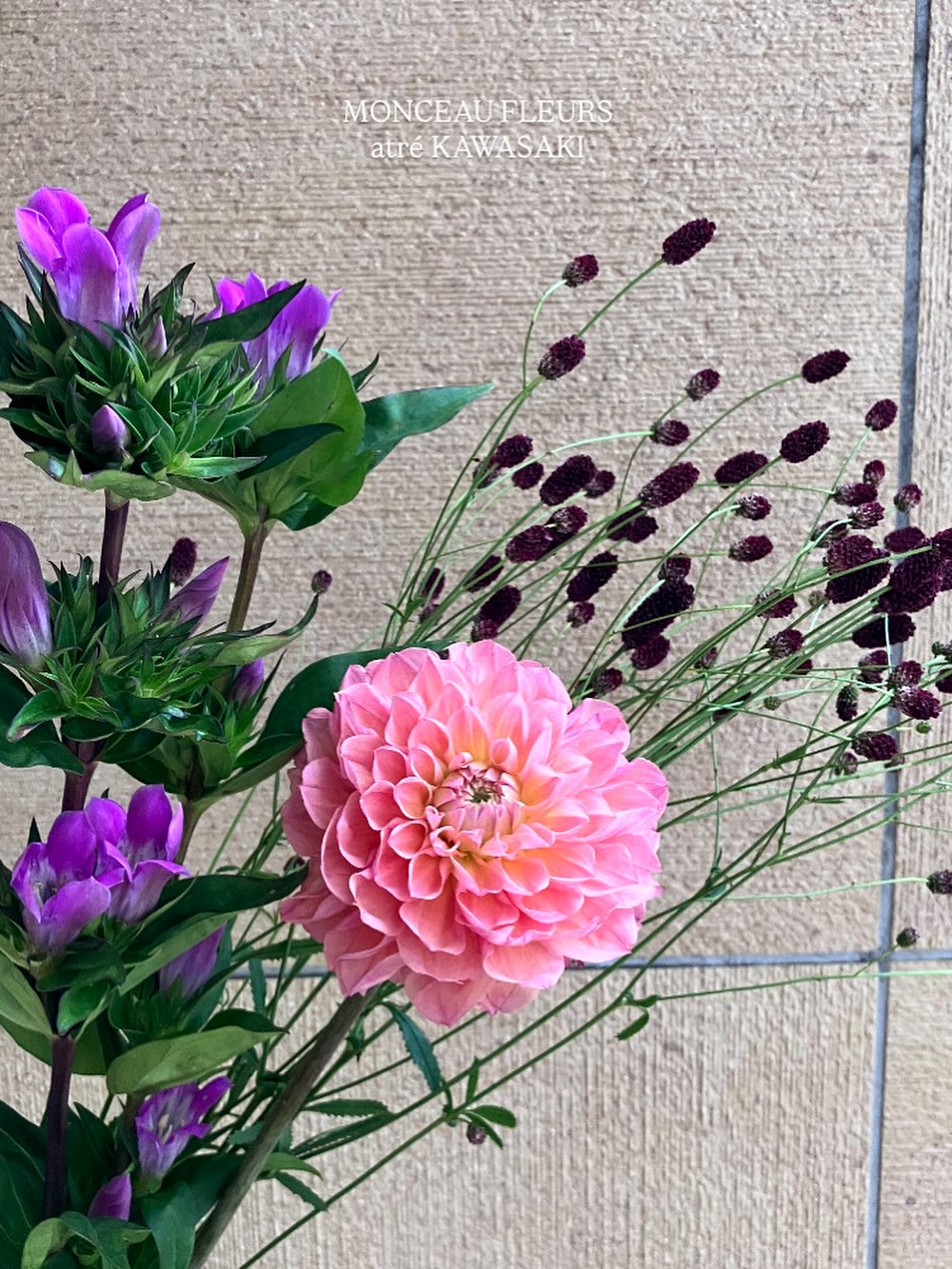 .秋のお花が並び始めています`夏の明るいお花とは雰囲気が変わり、深みのある色合いが温もりを届けてくれます是非店頭にて秋の訪れを感じてみてくださいね‍♀️🤎#秋のお花#ダリア#川崎花屋 #モンソーフルール#monceaufleurs